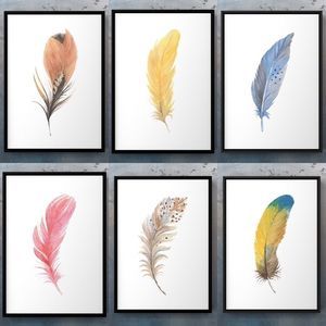 Bird feather watercolor art print buy one or all 6